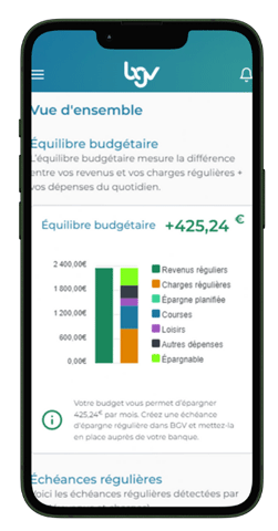 IRP AUTO - BGV budget